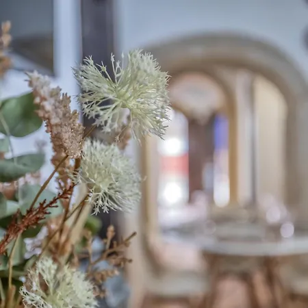 El Capricho De 1849 & Parking 科爾多瓦